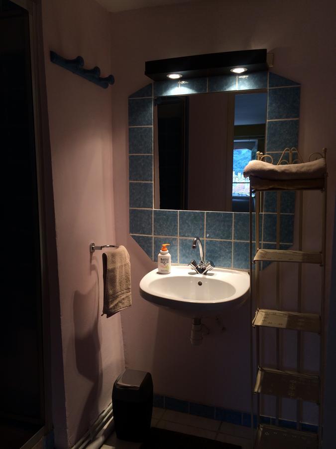 Au Detour Du Larrech Bed & Breakfast Castillon-en-Couserans Exterior photo